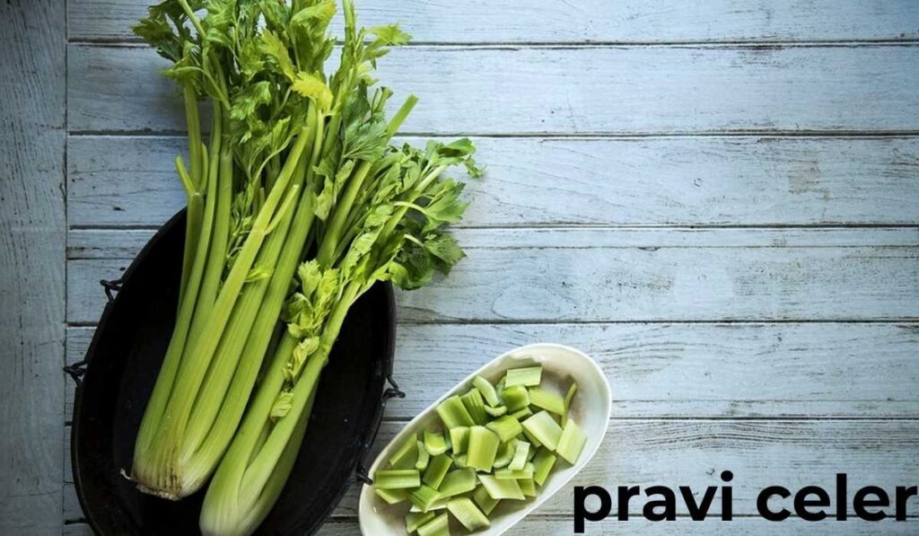 Pravi Celer