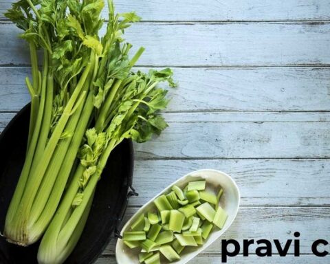 Pravi Celer