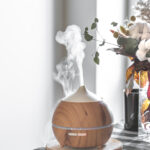 The Growing Popularity of Humidors