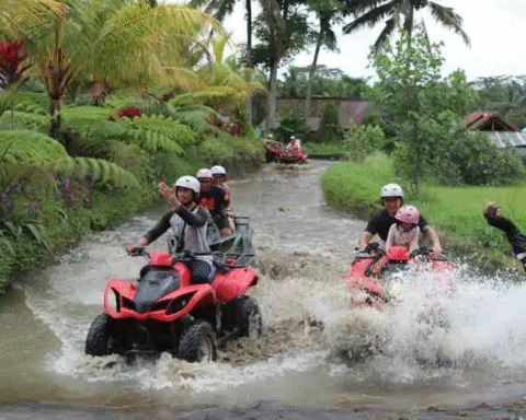 Quad Bike