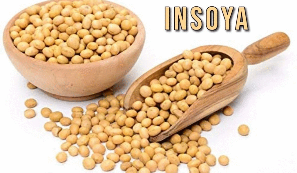 Insoya 