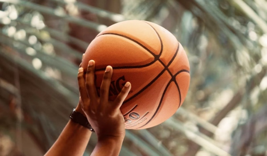 Zuyomernon System Basketball