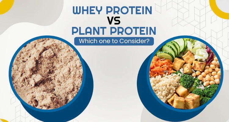 Whey Protein