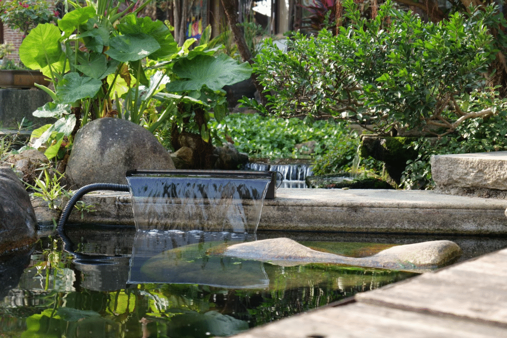 Garden