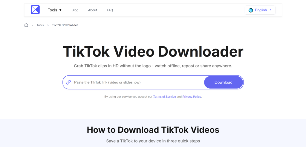 TikTok Downloader