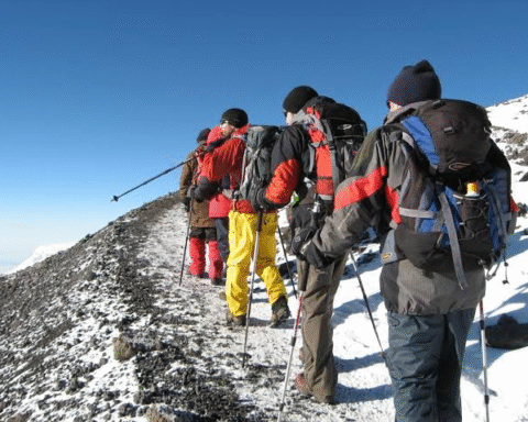 Kilimanjaro