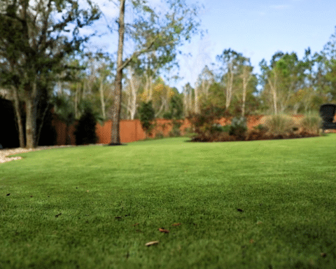 Artificial Grass