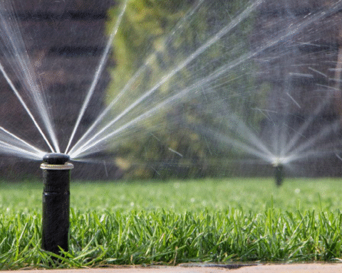 Sprinkler