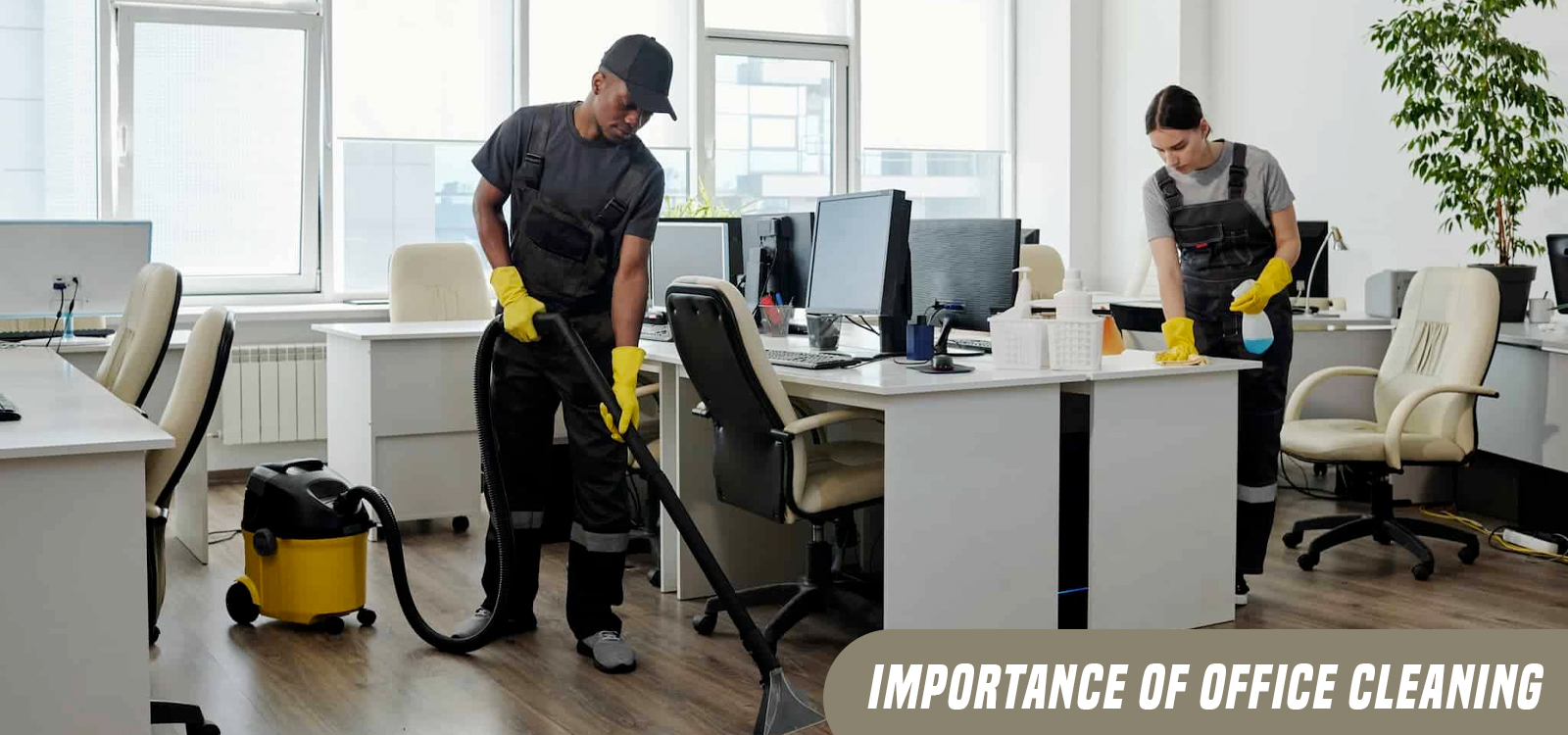 Cleaning