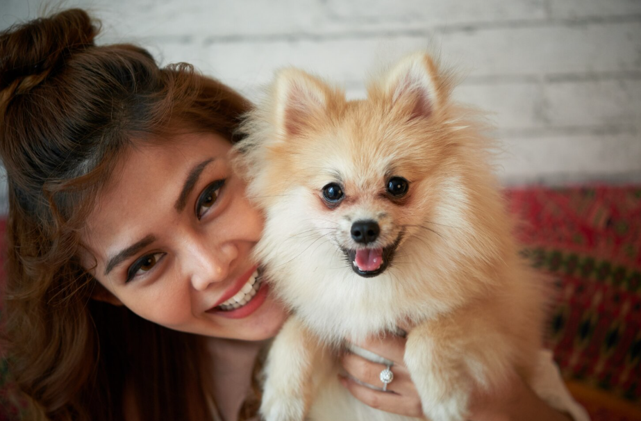 Pomeranian