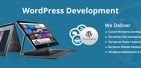 Software Development for Business Growth