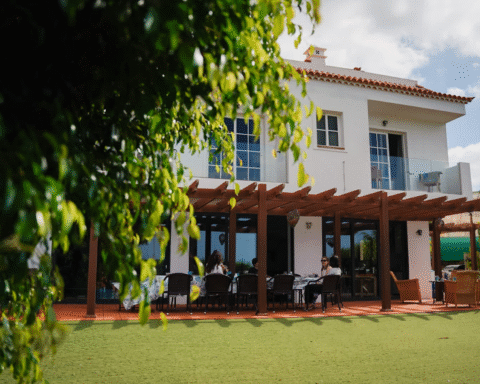 The Rise of Yoga Retreats in the Canary Islands: Why Travellers Are Choosing Tenerife Over Bali