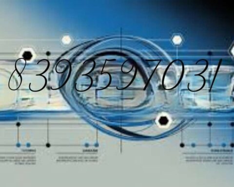 8393597031