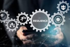 Digital Resilience