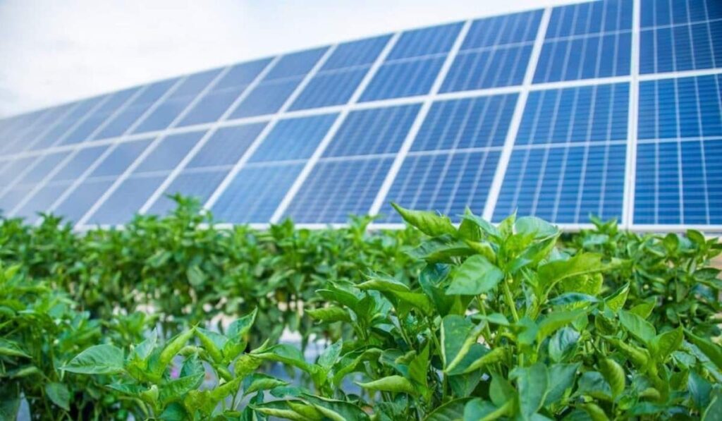 Solar Panels TEAS Passage