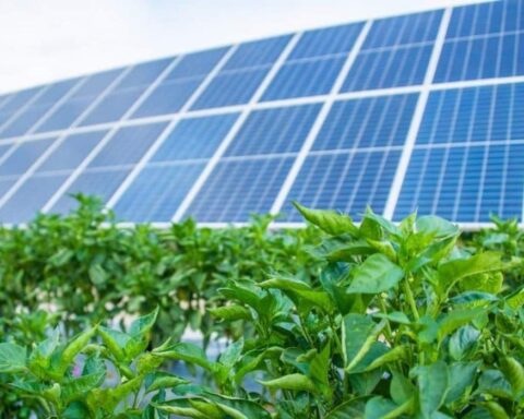 Solar Panels TEAS Passage