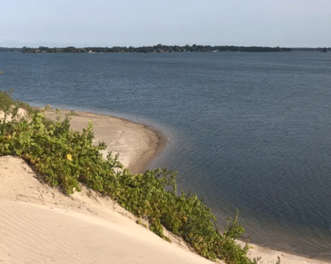 Where to Find the Best Beach in Sandbanks