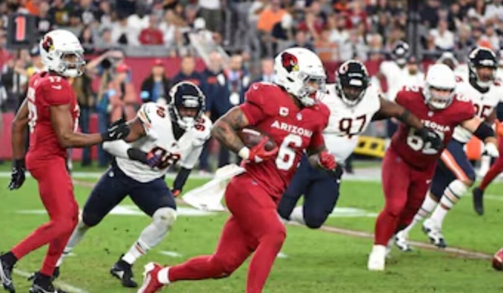 Chicago Bears vs Arizona Cardinals Match Player Stats