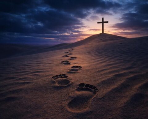 Entering the Desert with Intention