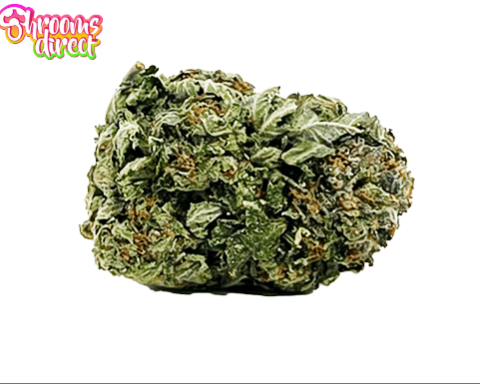 The Convenience of Discreet Delivery for Psychedelic Products