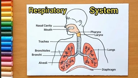 Home’s Respiratory