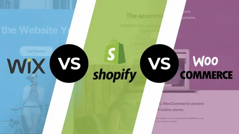 Shopify Developer