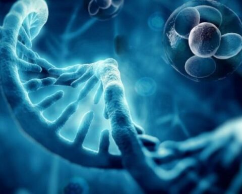 Regenerative Medicine