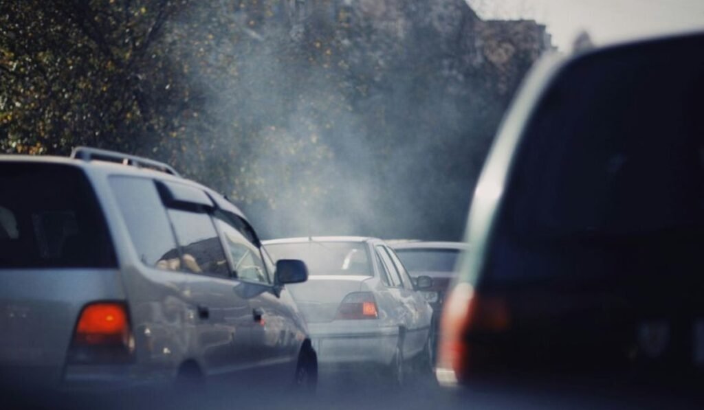 Smog Check History