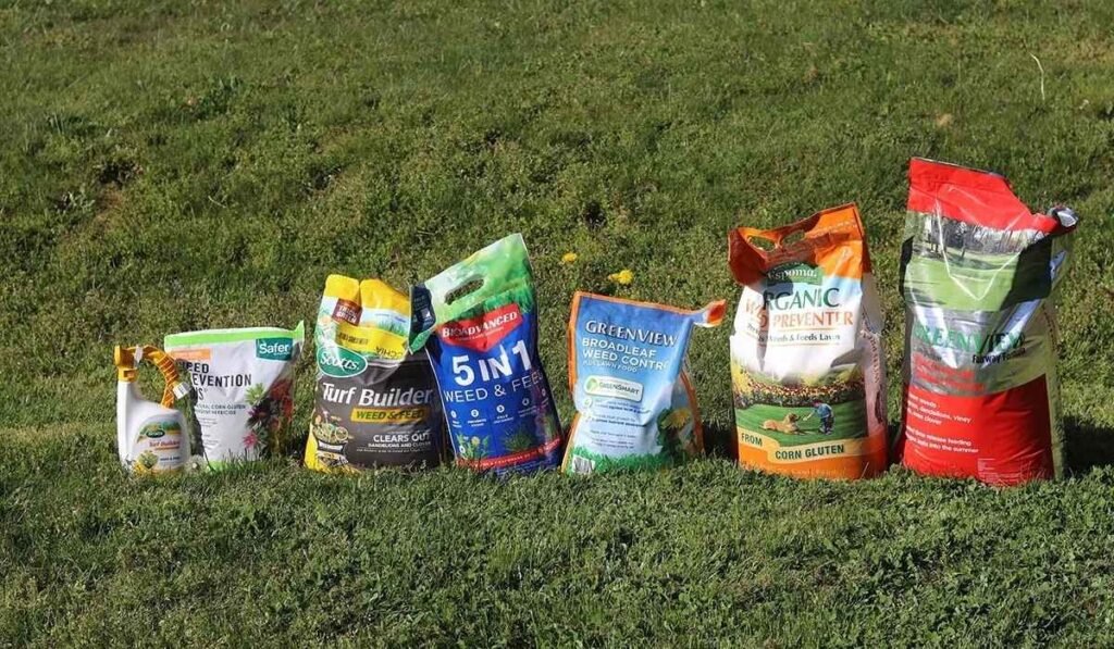Best Lawn Weed Killer