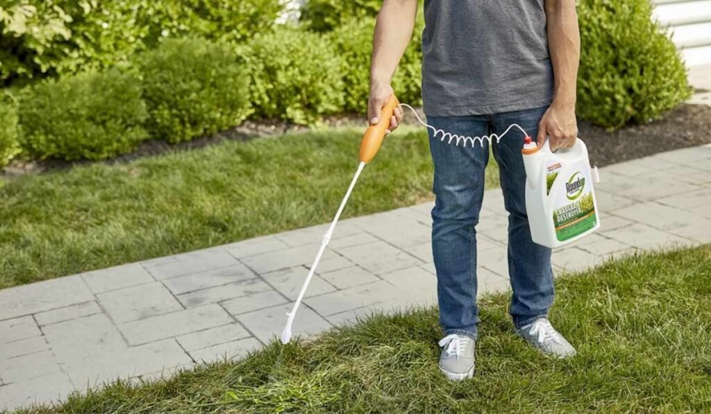 Best Lawn Weed Killer