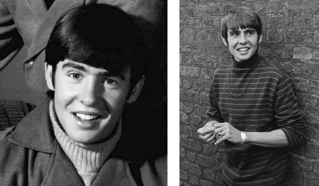 Davy Jones Monkees
