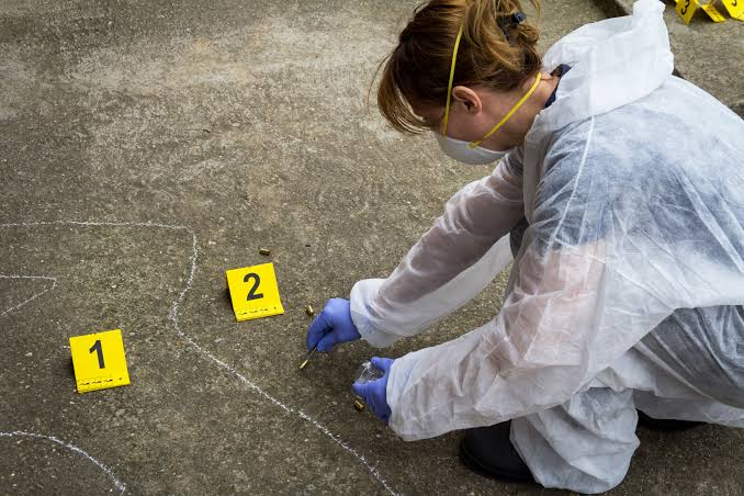 Crime Scenes