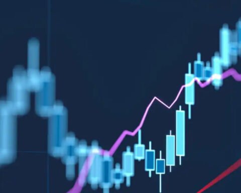 ziimp.com